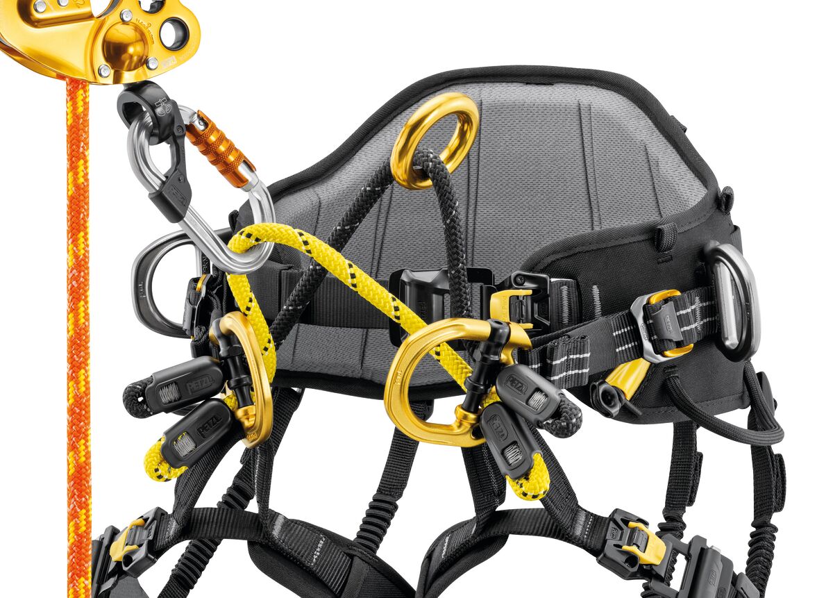 Petzl SEQUOIA PLUS Baumpflegegurt | PE-C069BB02