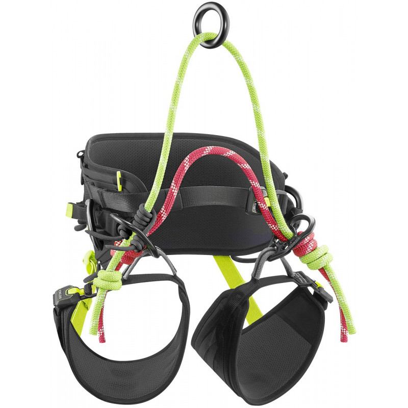 Edelrid TreeRex Triple Lock Baumpflegegurt Edelrid TreeRex Triple Lock Baumpflegegurt