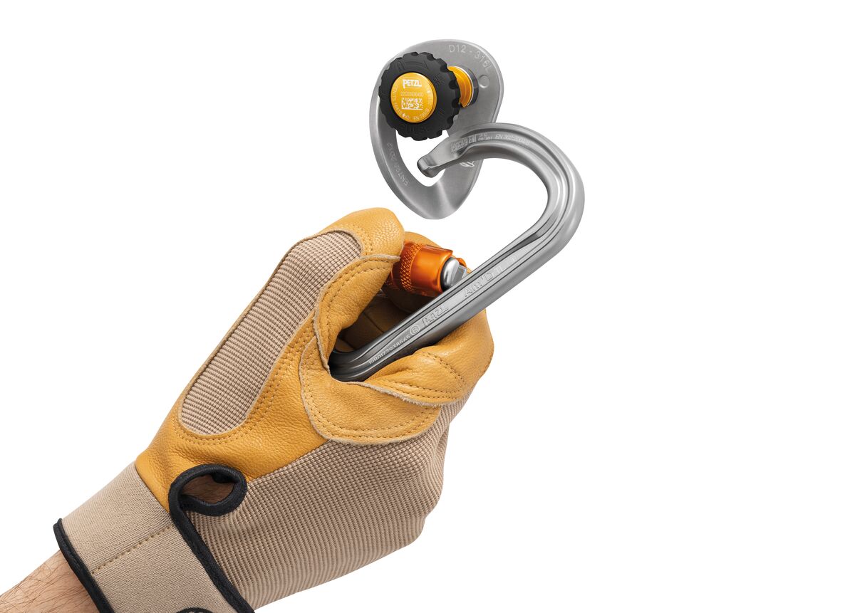 Petzl Coeur Pulse 12 mm - entfernbarer Bohrhaken