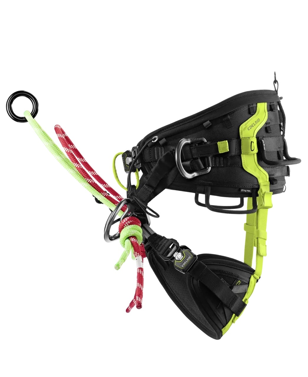 Edelrid Sitzgurt TreeRex II  | ED-820250142190
